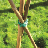 KINGFISHER 220CM PACK OF 10 BAMBOO CANES